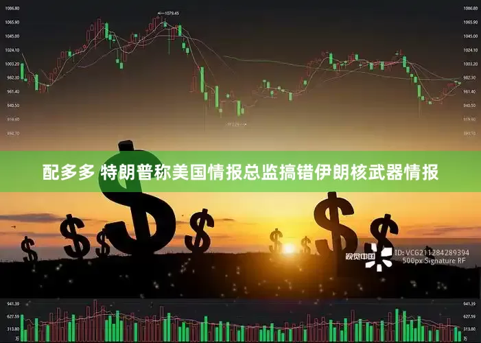 配多多 特朗普称美国情报总监搞错伊朗核武器情报