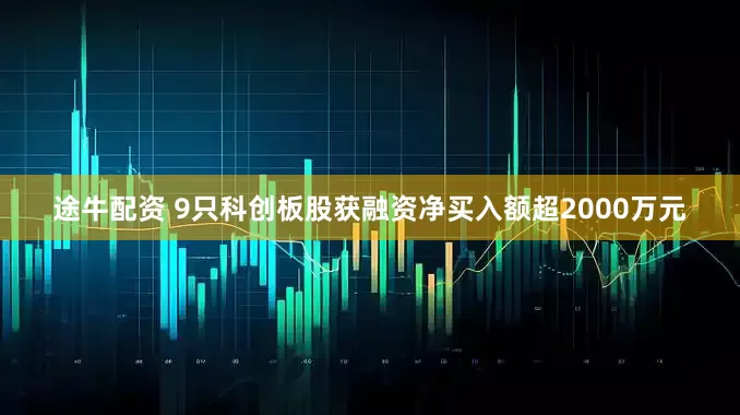 途牛配资 9只科创板股获融资净买入额超2000万元