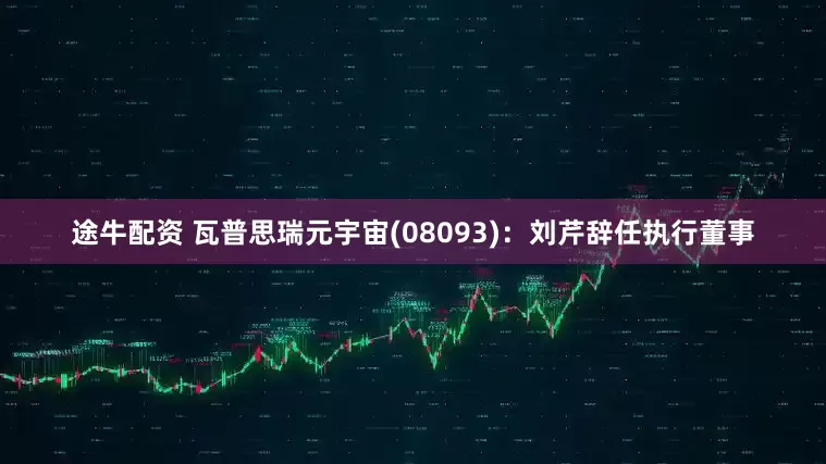 途牛配资 瓦普思瑞元宇宙(08093)：刘芹辞任执行董事