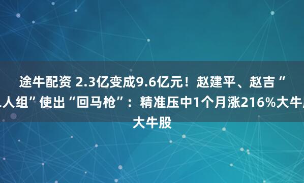 途牛配资 2.3亿变成9.6亿元！赵建平、赵吉“二人组”使出“回马枪”：精准压中1个月涨216%大牛股
